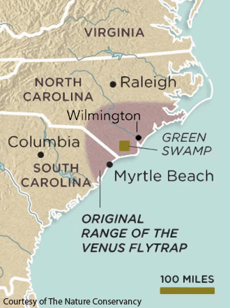 venus fly trap map